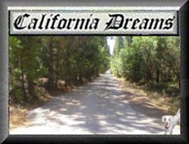 California Dreams
